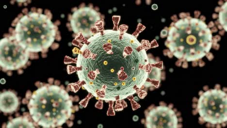 this presentation showcases the intricate details of viral structures, highlighting their components and functions within cellular environments. important insights into viral behaviors are shared.