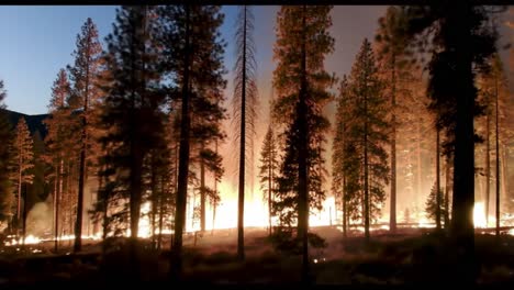 dramatic forest fire engulfs woodland landscape as flames rage through trees, creating a riveting display of nature's fury and destruction in the night sky