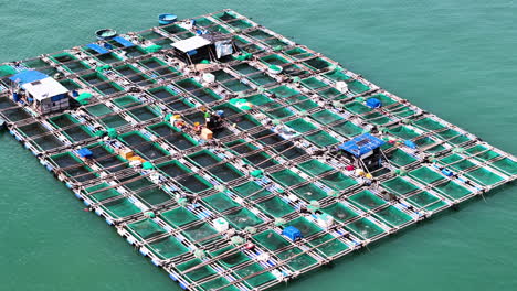 aerial of floating on ocean water of fish breeding farms production of shrimps and sea food in vietnam for chinese market