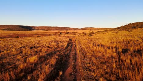 camino de tierra en una granja aislada en sudáfrica