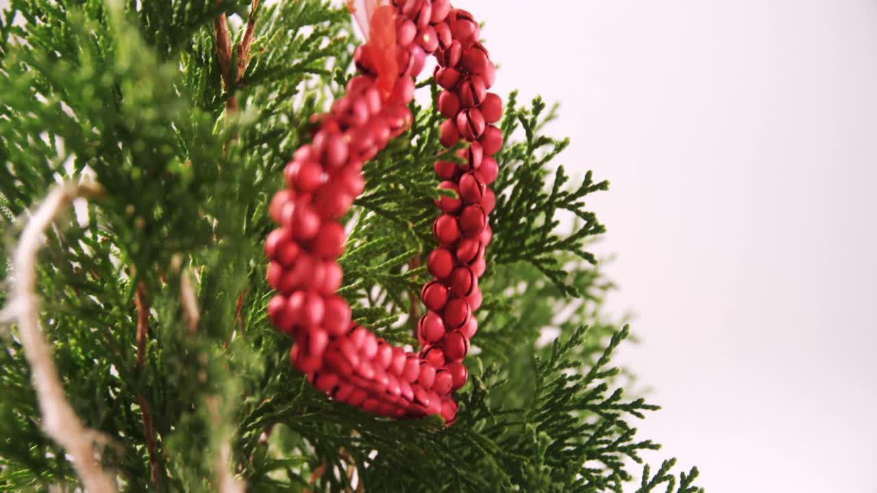 디지털 태블릿 4k를 사용하는 고객과 함께 미용사