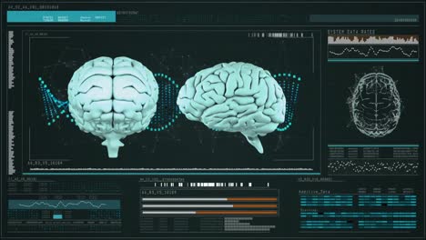 human brains with data analysis