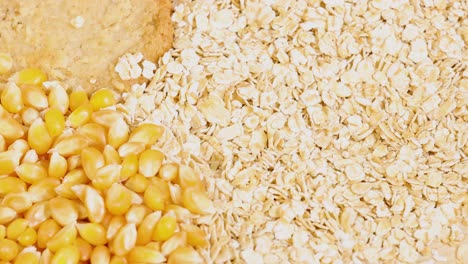 close-up views of various grains, pasta, and bread in warm lighting, highlighting textures and colors