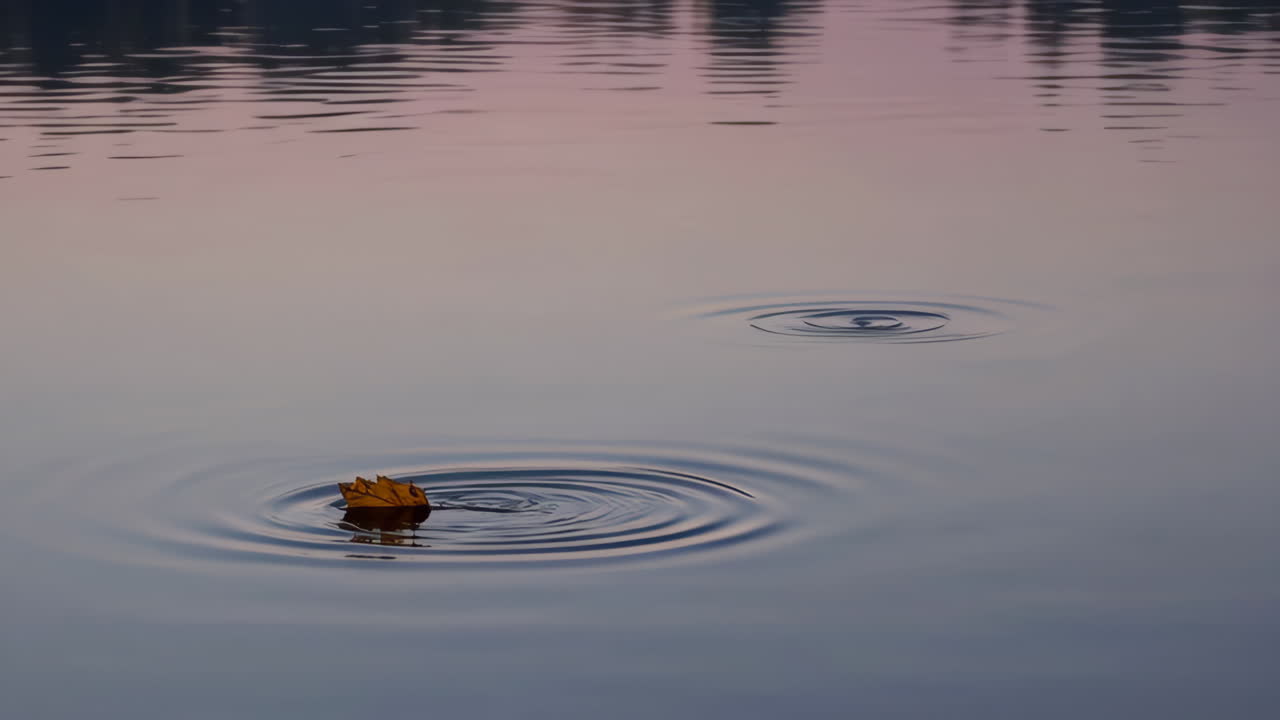 Water Ripples with Floating Autumn Leaves