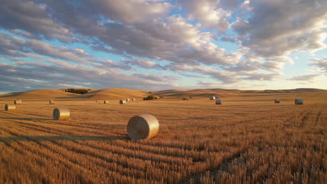 hay bales in a golden field at sunset