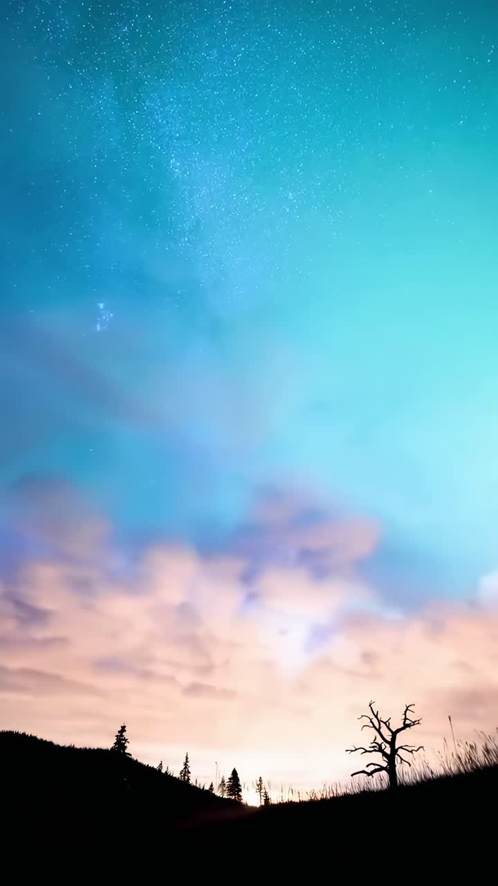Vidvinkel videokonsept av en stjerneklar nattehimmel over et silhuettlandskap, som fanger kosmisk skjønnhet.