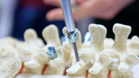 metal screw is drawn out of a spine mock-up. teaching future neurosurgeons to practice on a dummy. close up.
