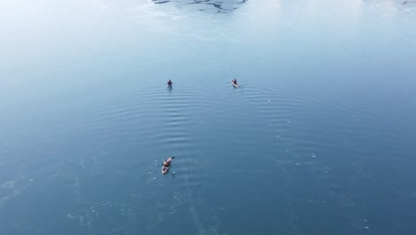 kayaking in stunning blue waveless water of fjord in iceland, aerial