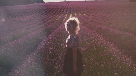 slow motion scene a beautiful lavender field in the famous provence at côte d'azur in france