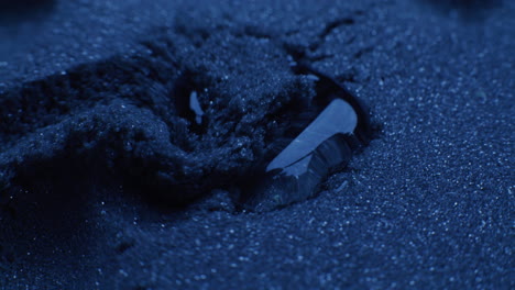 water droplet on dark sand