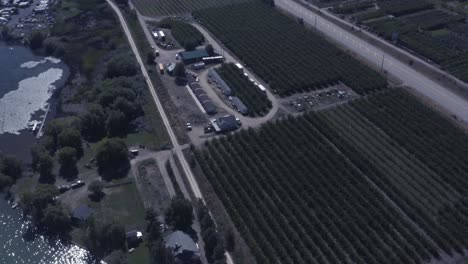 Aerial-birds-eye-view-fly-over-sunny-reflective-lakeside-cottages-next-to-vineyards-winery-estates-with-docks-parked-yachts-marajuana-plantations-grapes,-vines,-processing-plants-in-BC-Canada-1-2