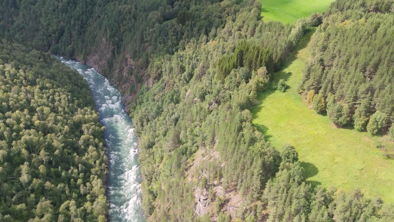 vista aérea de un río que serpentea a través de un denso bosque, con vibrantes campos verdes a un lado, que personifican la naturaleza intacta y los paisajes serenos desde una perspectiva elevada