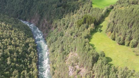 Aerial-view-of-a-river-winding-through-a-dense-forest,-with-vibrant-green-fields-on-one-side,-epitomizing-untouched-nature-and-serene-landscapes-from-an-elevated-perspective