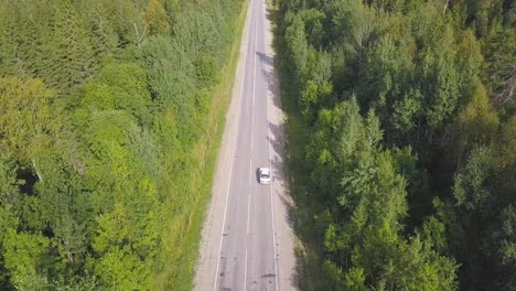 aerial view of a road through a forest