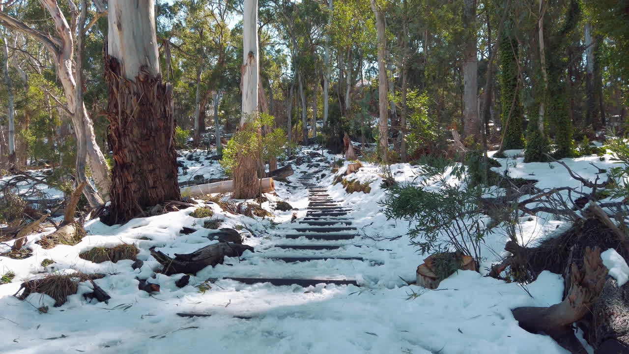 Empty forest staircase in winter conditions, covered in snow during sunny day