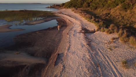 Toma-Cinematográfica-Hacia-Atrás-De-Una-Persona-Caminando-Por-La-Orilla-Del-Lago-En-Una-Hermosa-Puesta-De-Sol-Cerca-De-La-Laguna-Negra-En-Uruguay