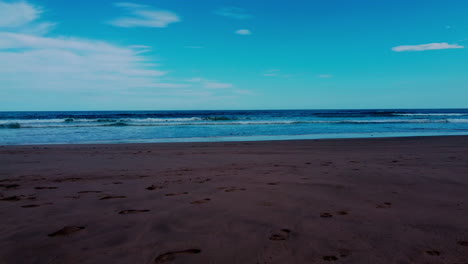 Drone-shot-going-through-branch-on-beach