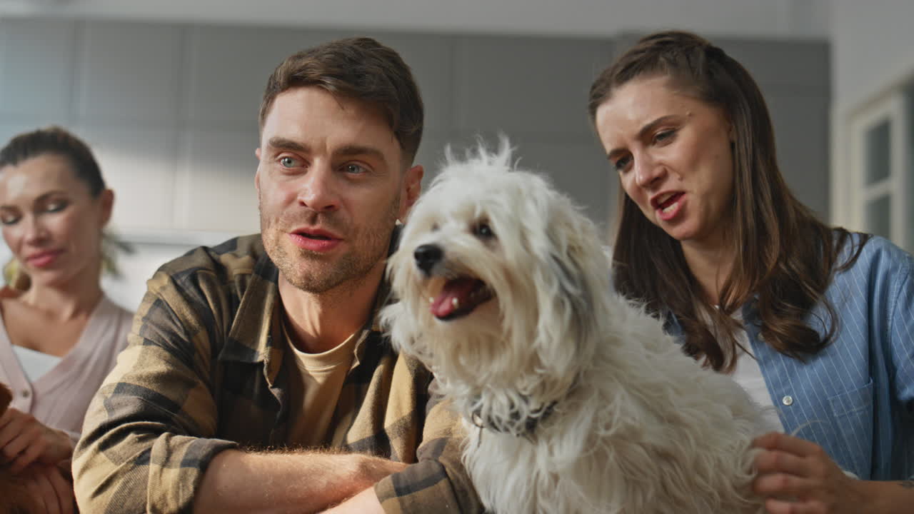 People dogs resting home together close up. Happy group friends caressing pets
