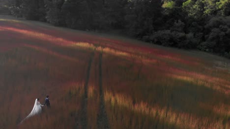 Newlyweds-crossing-a-pink---green-field-at-twilight,-wide-high-angle