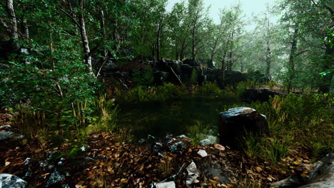 forest-spring-landscape-with-overgrown-pond