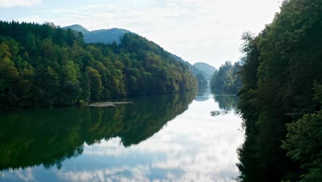 forest area is crossed by river with reflected surrounding trees, tracking drone shot