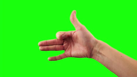 closeup view of female hand showing a sign of barking dog on a green screen background
