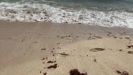 personas caminando en el agua en la playa