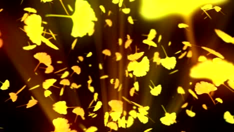 spin of autumn leaves,ginkgo,cg animation,loop