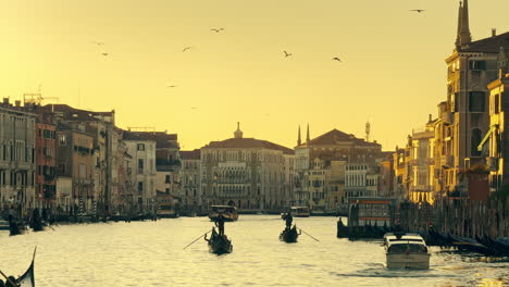 golden hour gondola ride in venice