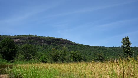 Terraza-De-Montaña-De-Piedra-Caliza-Con-Arrozales-En-Primer-Plano-Listos-Para-La-Cosecha