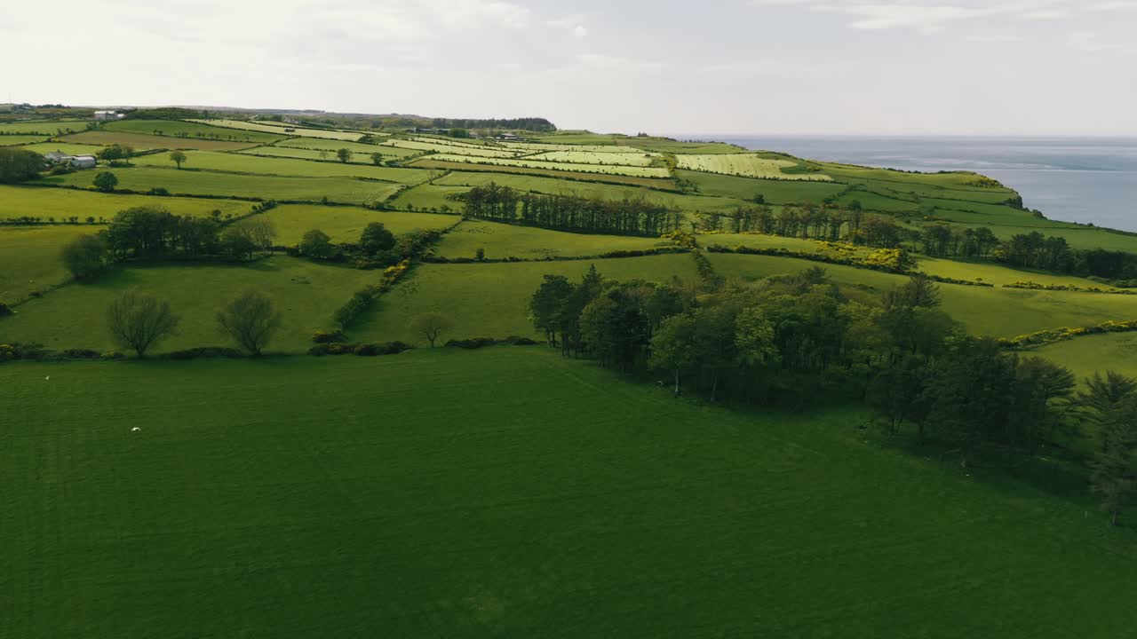 Aerial Flyover of Lush Green Fields in Northern Ireland