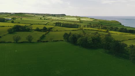 Sobrevuelo-Aéreo-De-Exuberantes-Campos-Verdes-En-Irlanda-Del-Norte