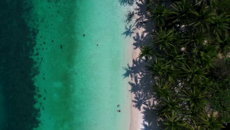 aerial view of ko lao ya nai island, thailand, featuring crystal clear turquoise waters and palm trees. smooth aerial view flight drone shot footage from above