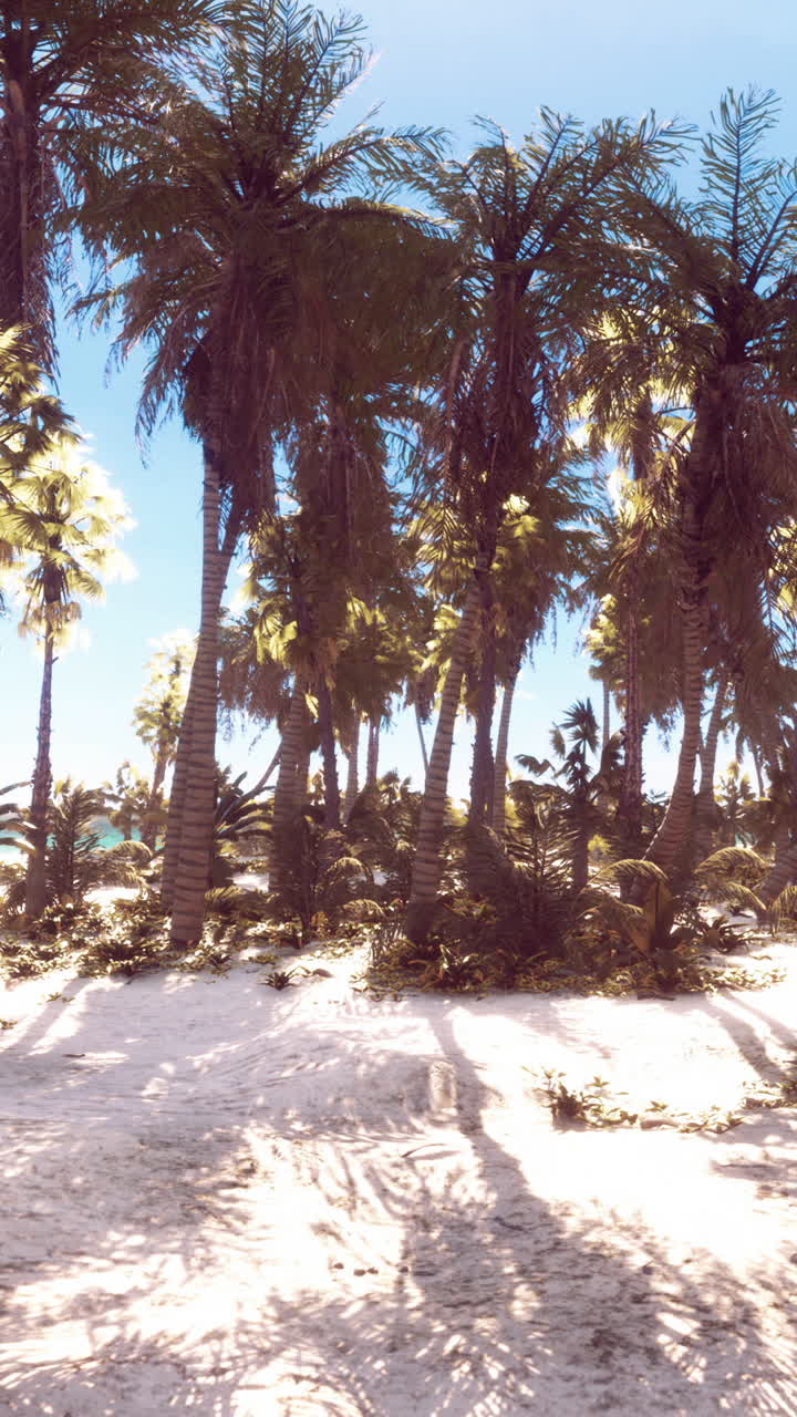 야자수와 열 대 해변