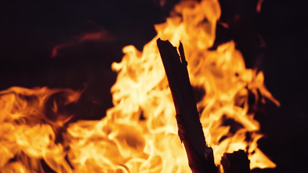 burning bonfire on a summer evening next to forest