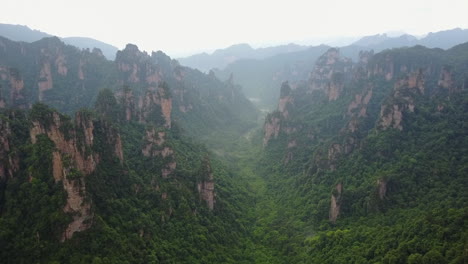inclinación aérea en hunan china: agujas y niebla del valle del parque zhangjiajie