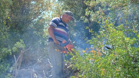 Man-cutting-wood-with-chainsaw-forest