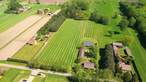 Luftaufnahme-Eines-Landwirtschaftlichen-Feldes