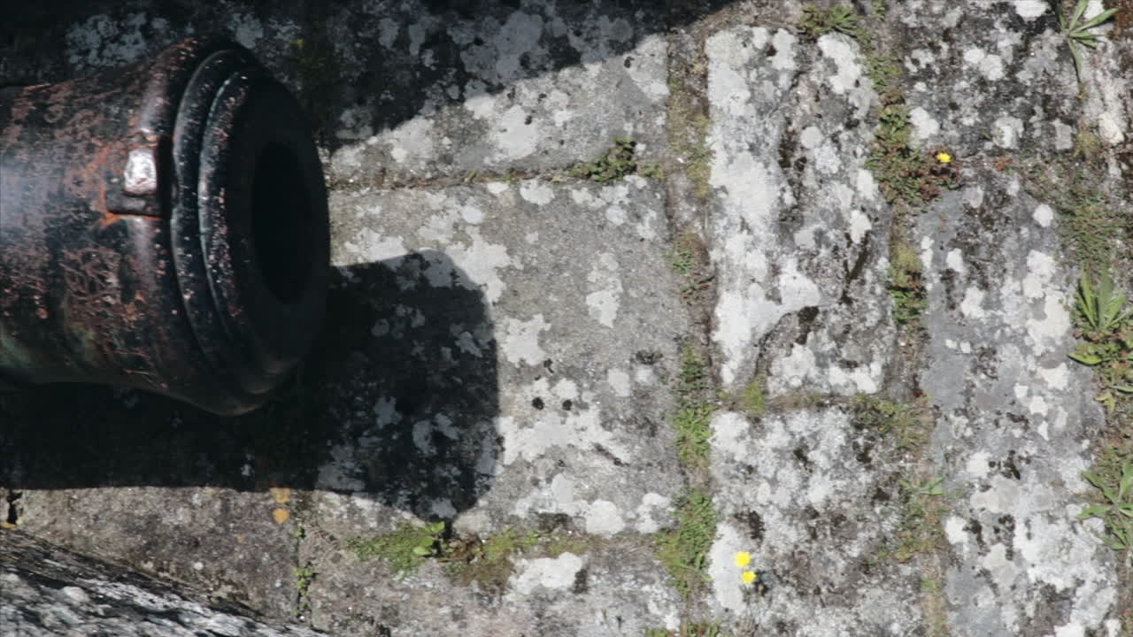 위에서 본 몬테레알 요새 전망의 오래된 캐논