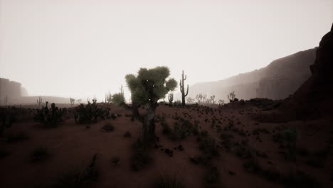 night-at-Saguaro-National-Park-in-Desert-of-Arizona