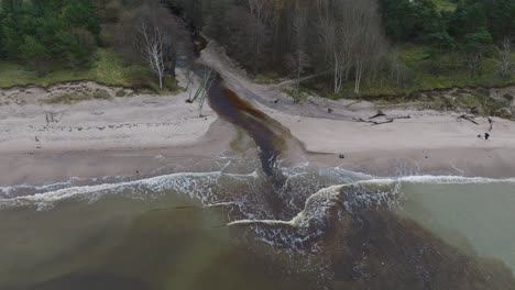 aerial establishing view of a small dark river flowing into the baltic sea near liepaja , white sand beach, overcast autumn day, wide drone shot moving forward, tilt down