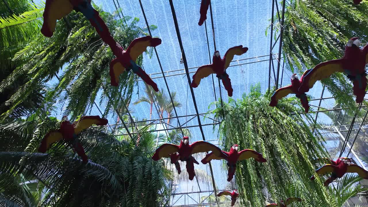 Hanging exotic parrots decor decoration Pattaya Nong Nooch Botanical Garden Thailand
