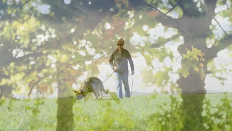 Frau-Geht-Mit-Einem-Blindenhund-Spazieren