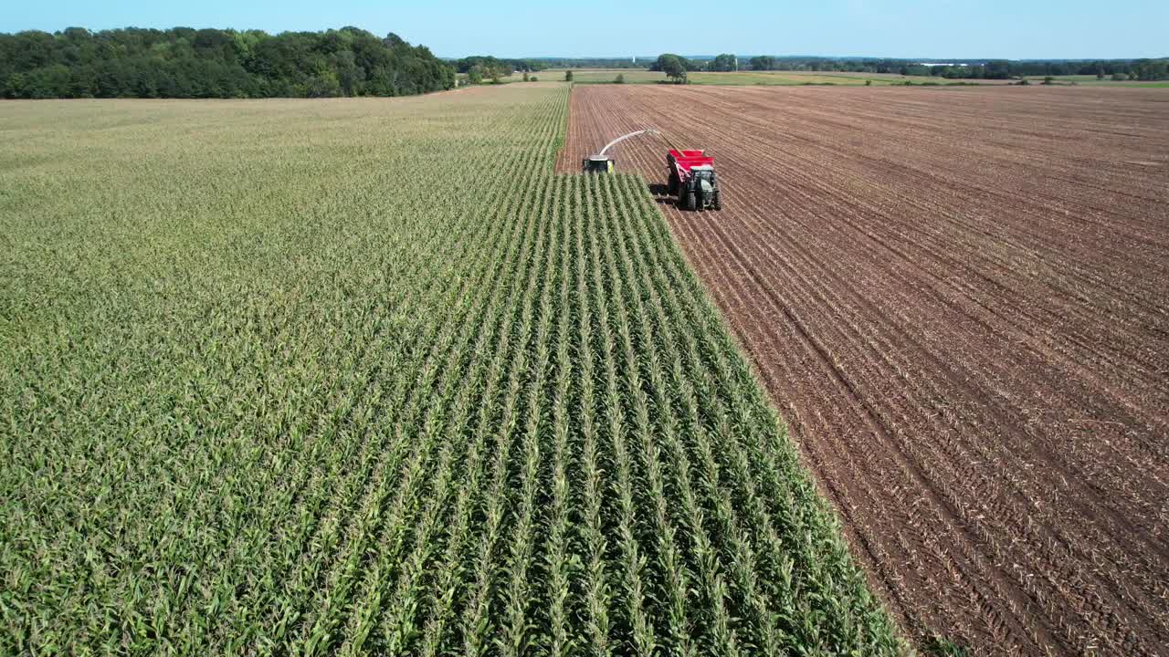 una operación agrícola en ne wisconsin corta y recolecta maíz para ensilaje-4