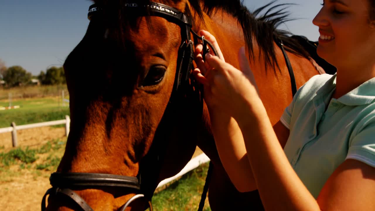 Woman adjusting bridle on horse 4k