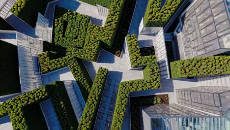 modern rooftop garden design