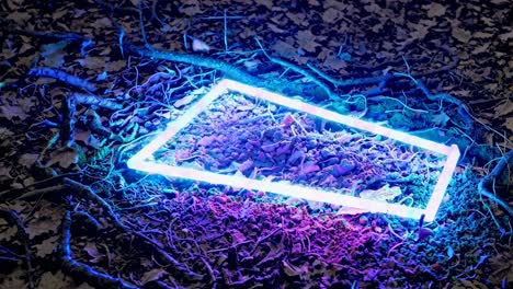 marco rectangular de luz de neón en el bosque