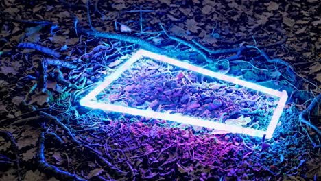 neon light rectangle frame in forest