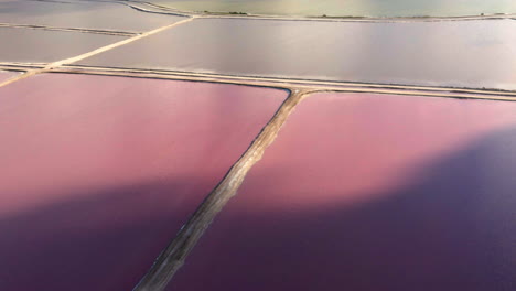 Pink-salt-evaporation-ponds-divided-by-path-causeways,-Mexico