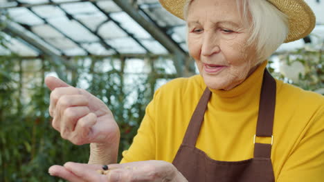 elderly woman planting seeds in greenhouse